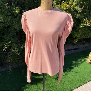 Blush Long Sleeve woth Rouched Shoulders